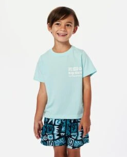 Rip Curl Tube Icon Tee – Boy